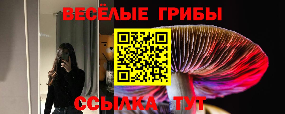 Псилоцибиновые грибы Cubensis Ухта