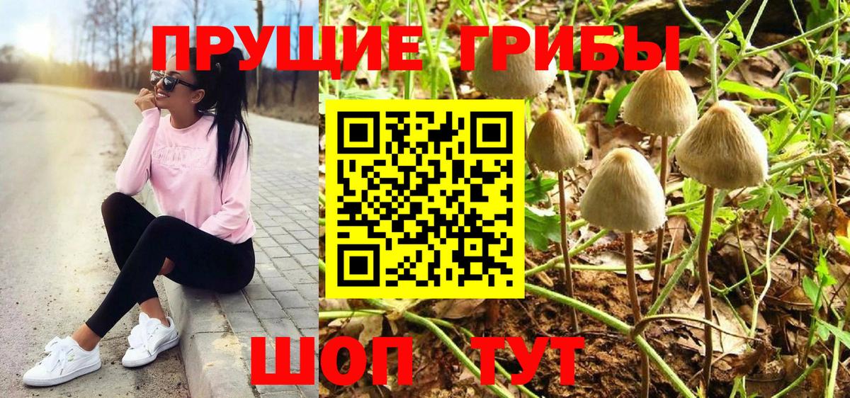 Ухта  Псилоцибиновые грибы MAGIC MUSHROOMS  Вход с VPN  где купить наркоту  Псилоцибиновые грибы ЛСД 
